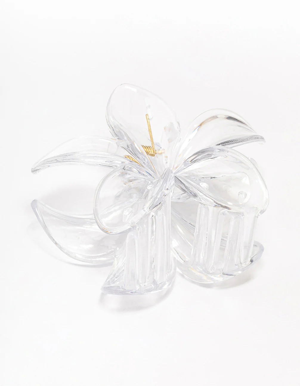 Clear Transparent Tropical Hair Claw Clip