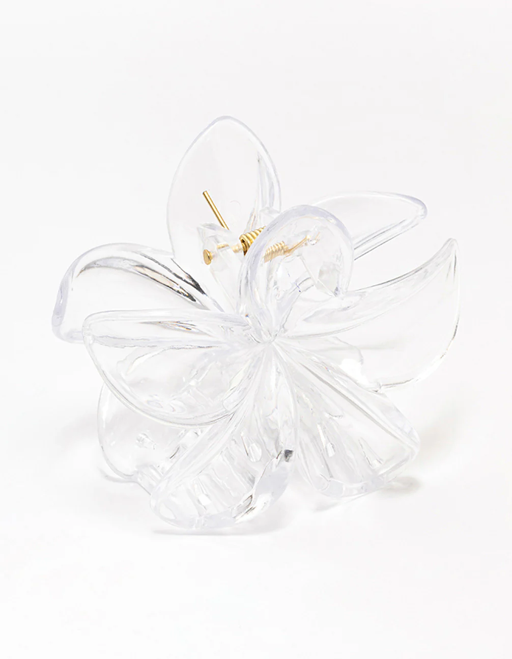 Clear Transparent Tropical Hair Claw Clip - Image 2