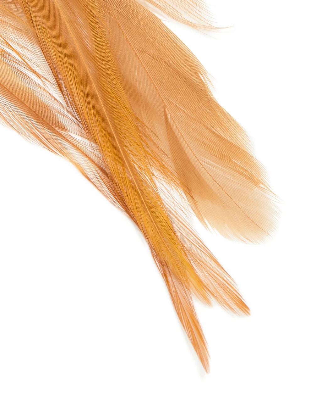 Gold Brown Feather Boho Fish Hook Earrings - Image 5
